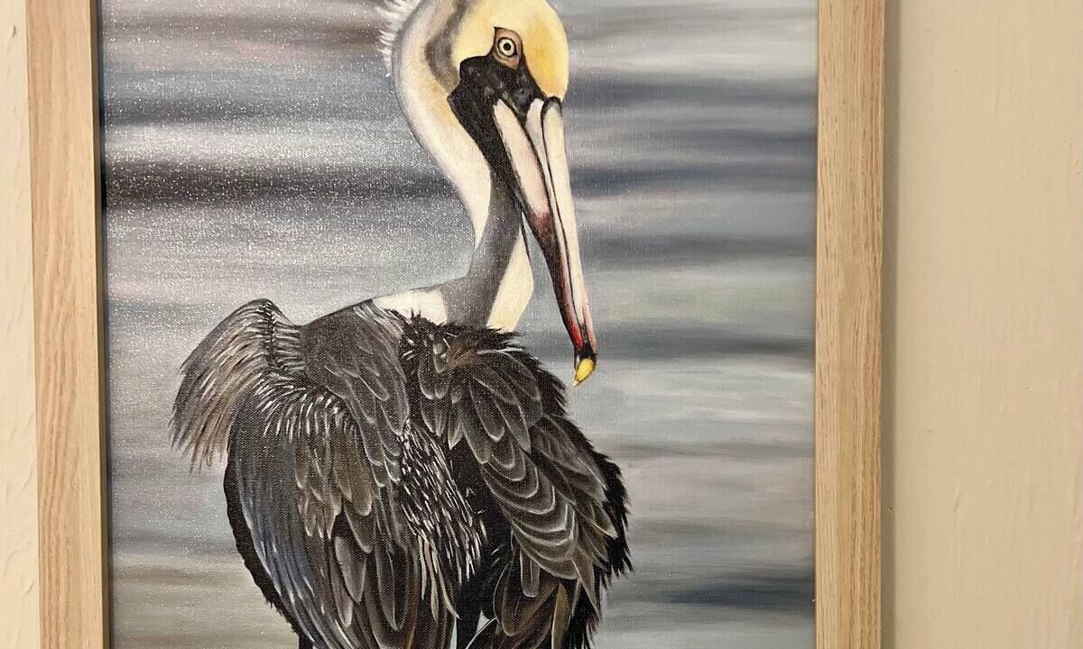 Photo of Others in Clearwater