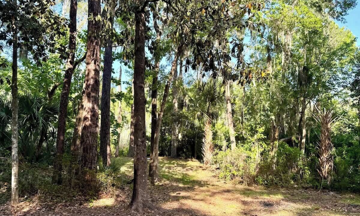 Photo of Others in Gainesville