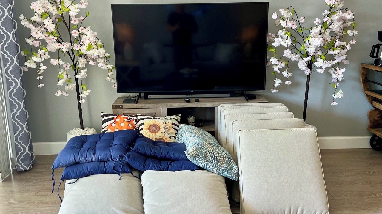 Photo of Livingroom in Palm Harbor