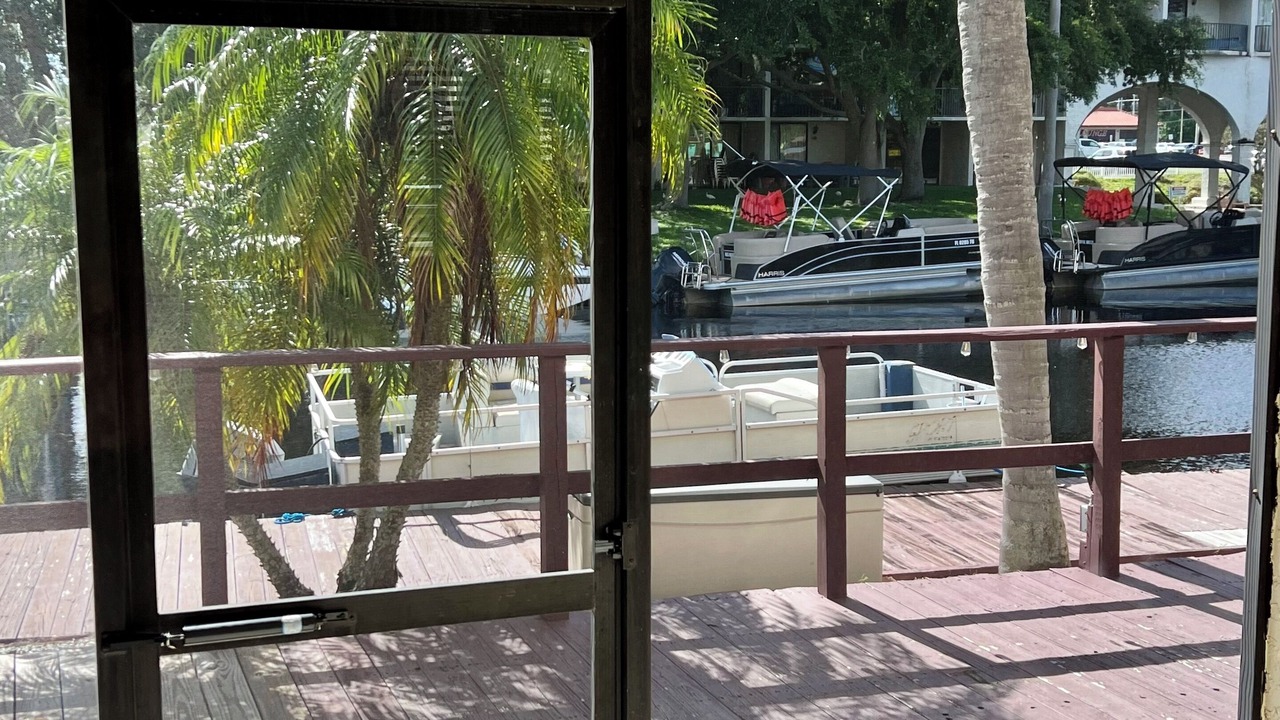 Photo of Others in Palm Harbor