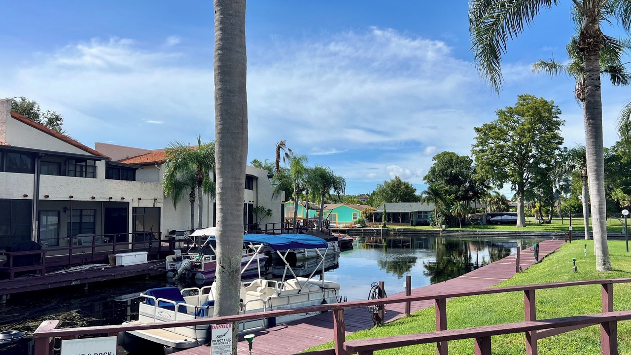 Photo of Others in Palm Harbor