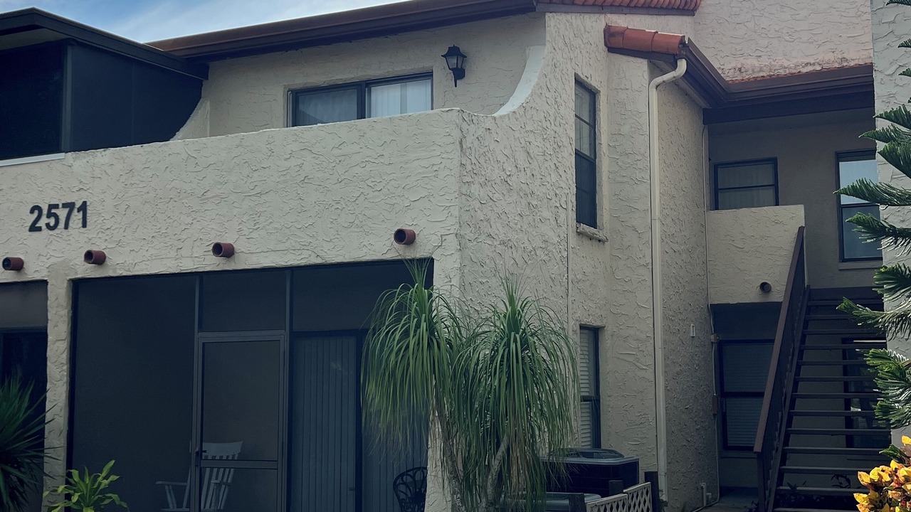 Photo of Outdoor in Palm Harbor