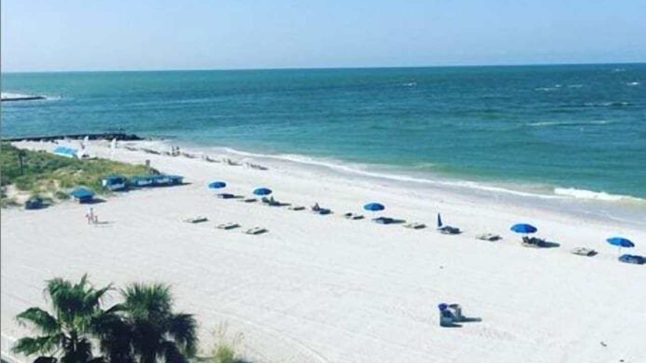 Photo of Others in Madeira Beach