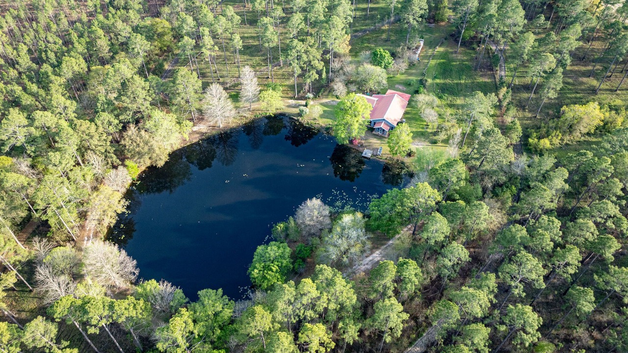 Photo of Outdoor in Moultrie