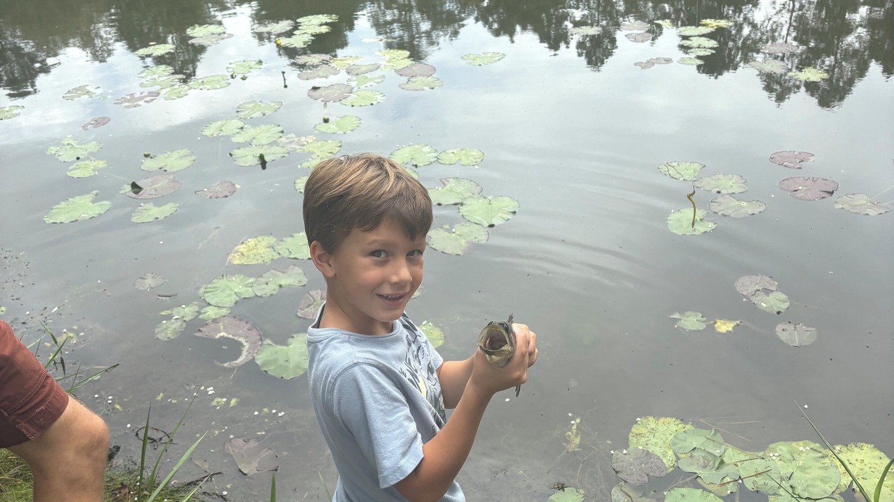 Photo of Others in Moultrie