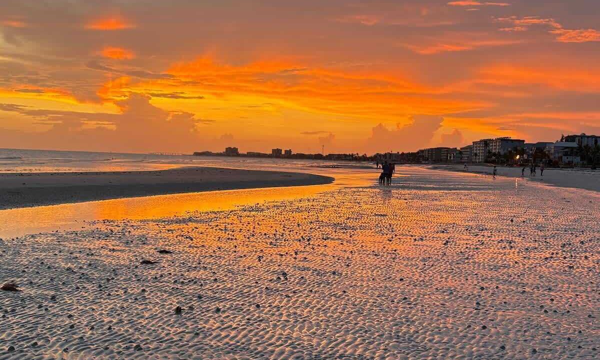 Photo of Others in Mid Island