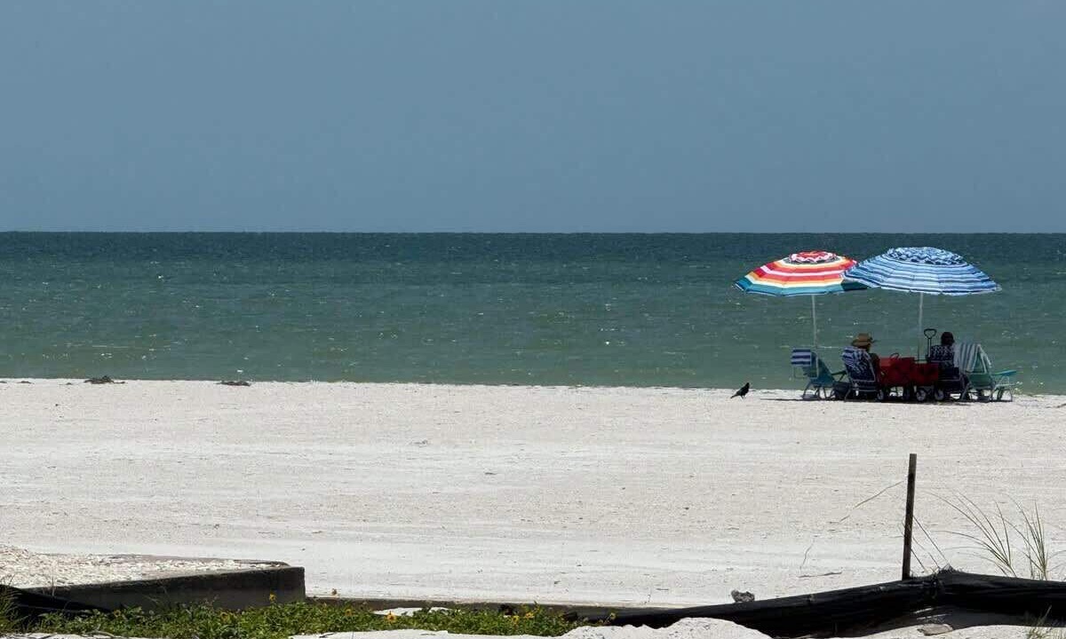 Photo of Others in Mid Island