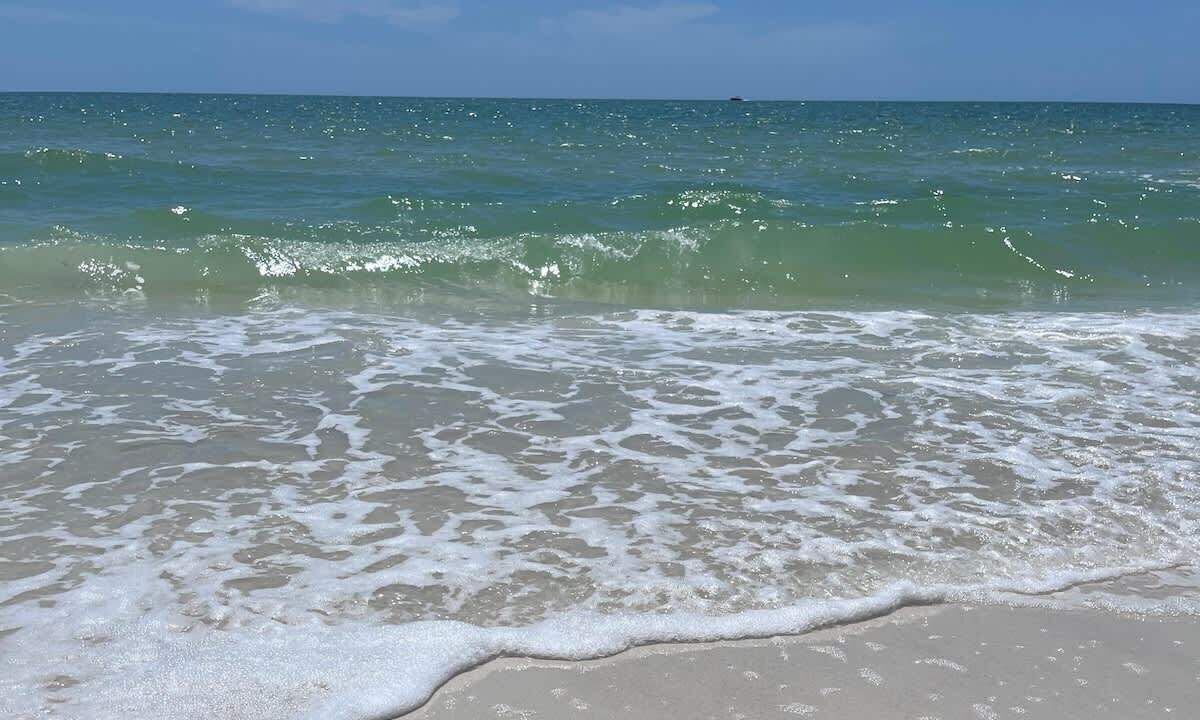 Photo of Others in Mid Island