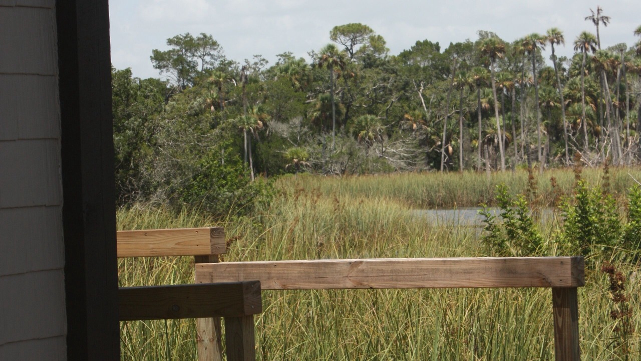 Photo of Outdoor in Crystal River