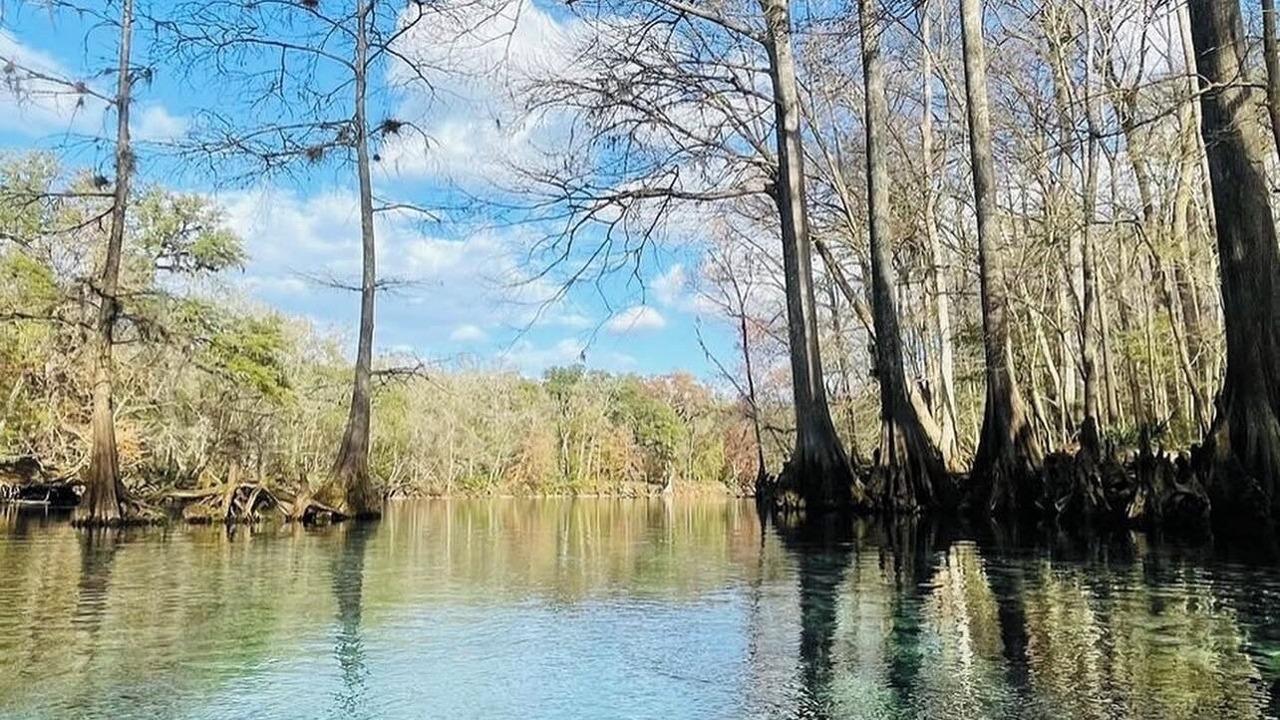 Photo of Others in Newberry