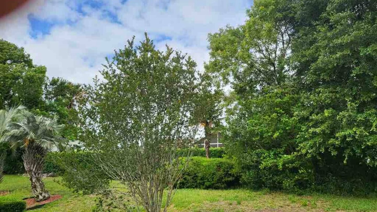 Photo of Outdoor in Ocala
