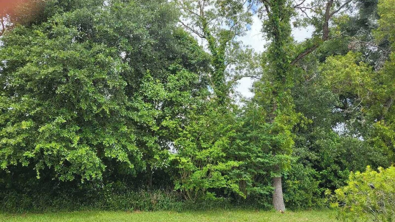 Photo of Others in Ocala