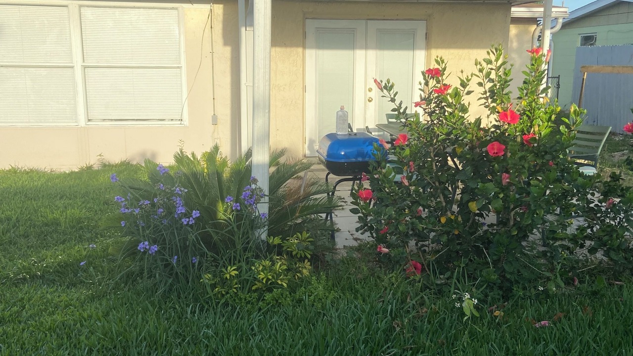 Photo of Outdoor in Holiday