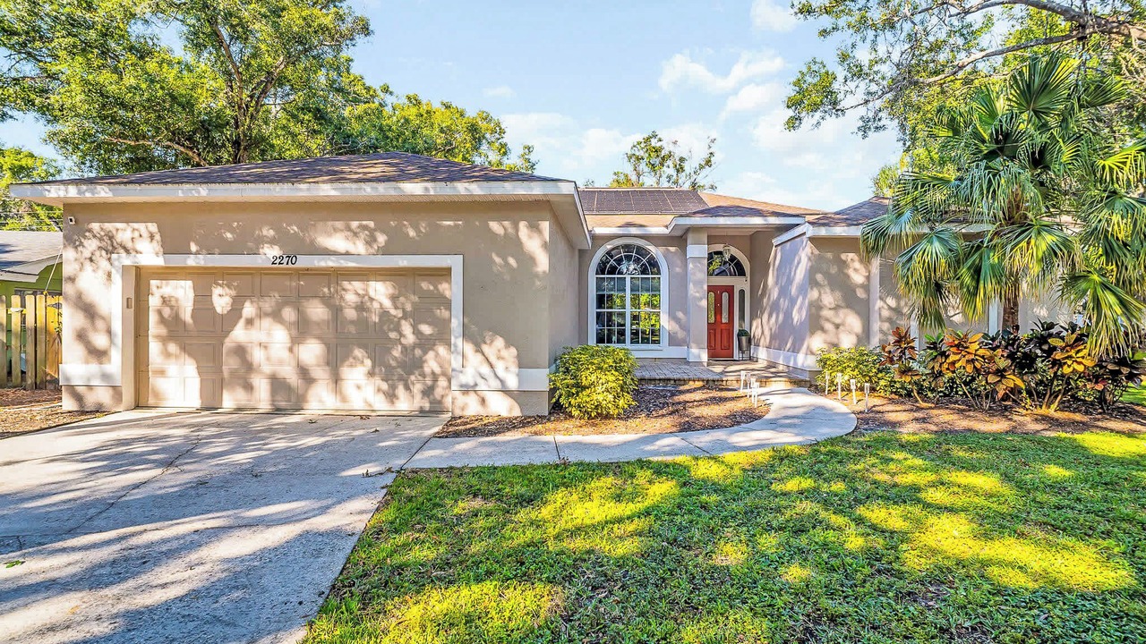 Photo of Outdoor in Clearwater