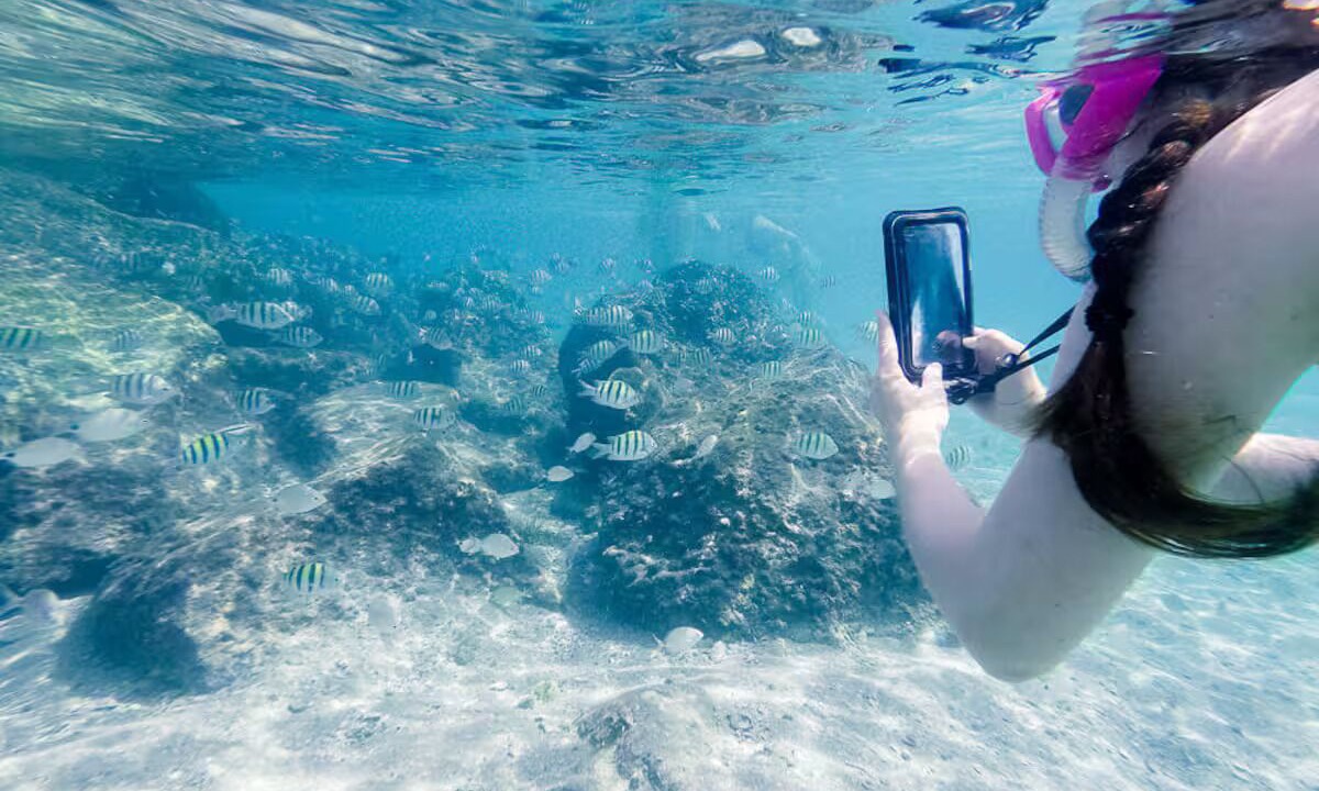 Photo of Others in Riviera Beach