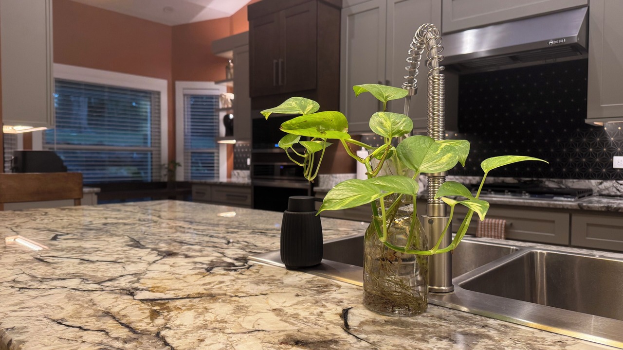 Photo of Kitchen in Mount Dora