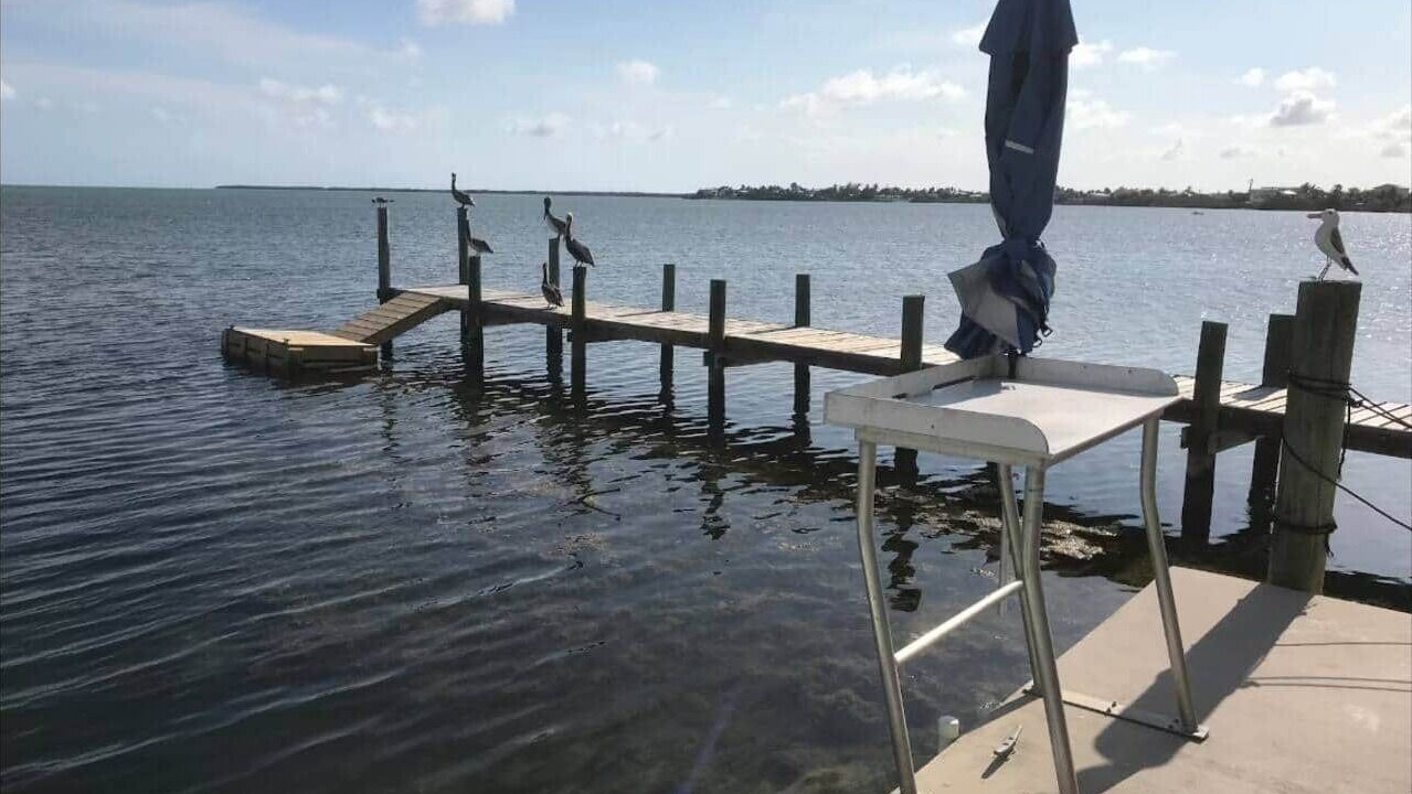 Photo of Others in Cudjoe Key