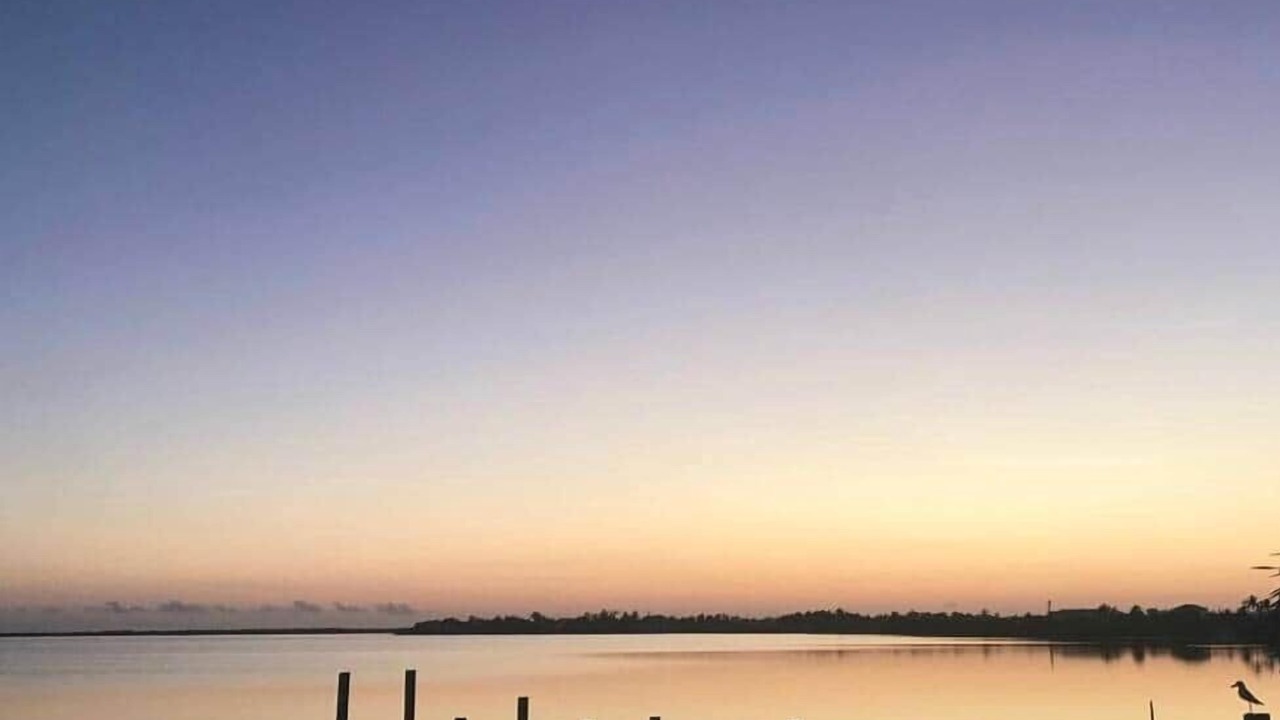 Photo of Outdoor in Cudjoe Key