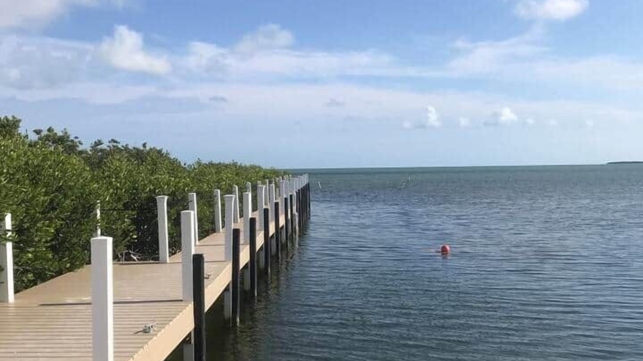 Photo of Others in Cudjoe Key