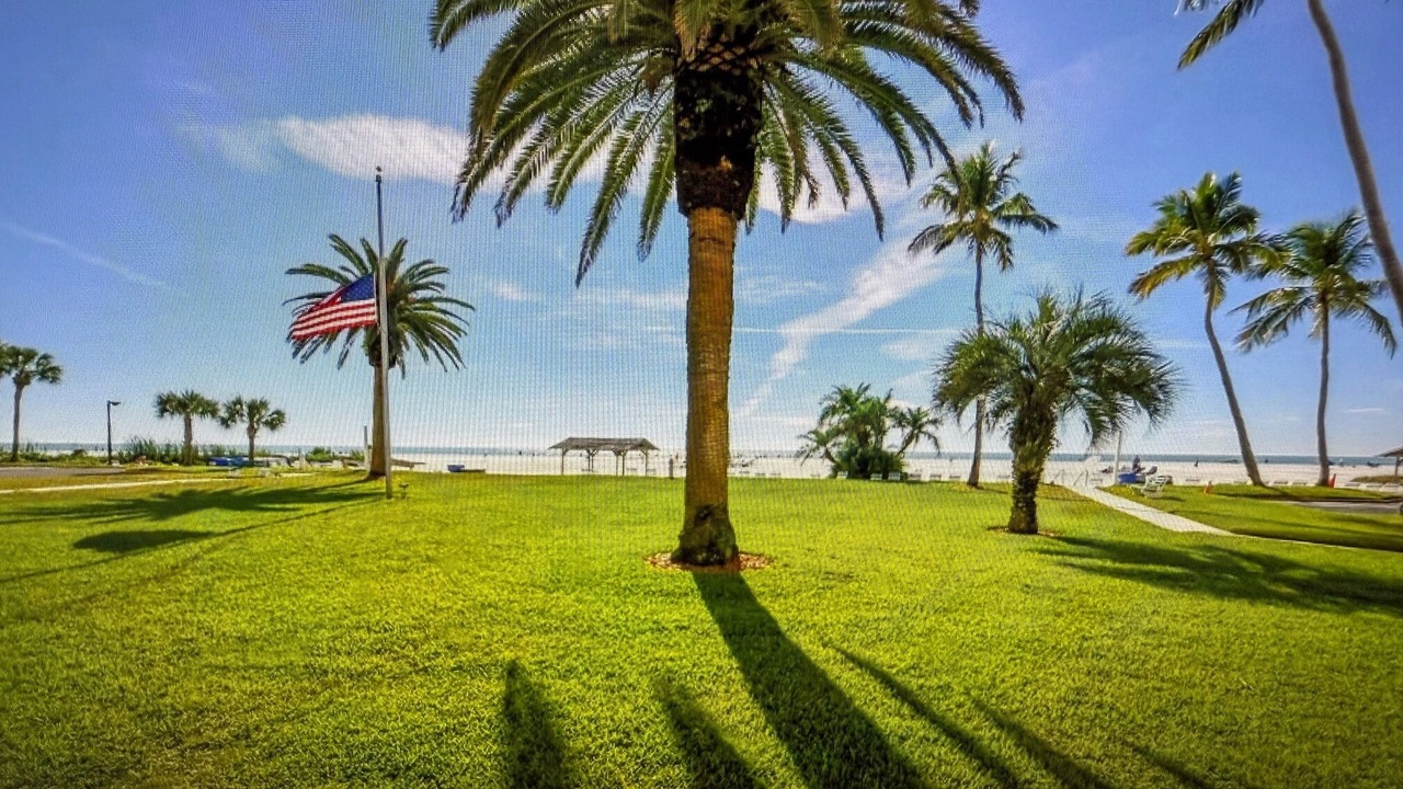 Photo of Others in Siesta Key