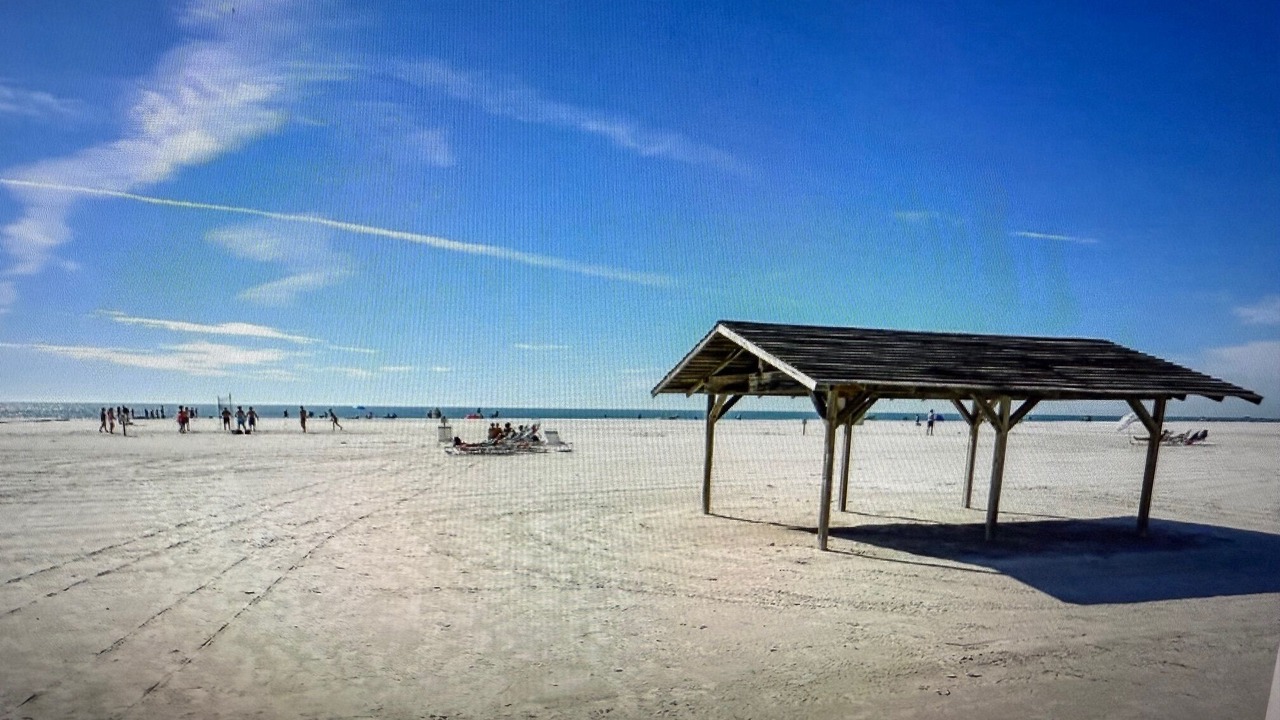 Photo of Others in Siesta Key