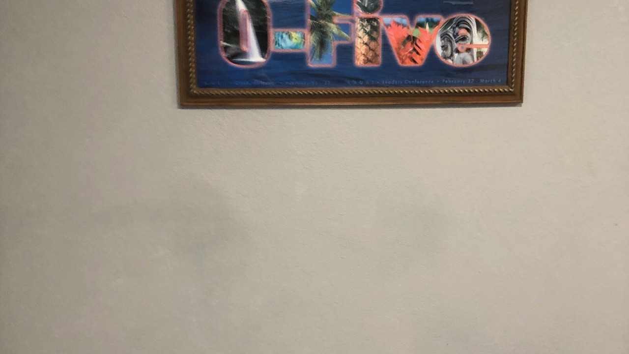Photo of Bedroom in Pinellas Park