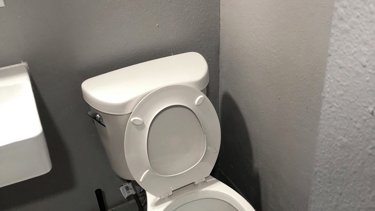 Photo of Bathroom in Pinellas Park