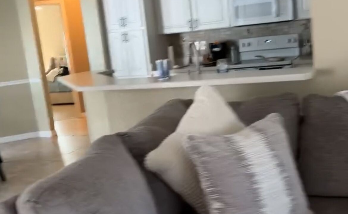 Photo of Livingroom in Spring Hill