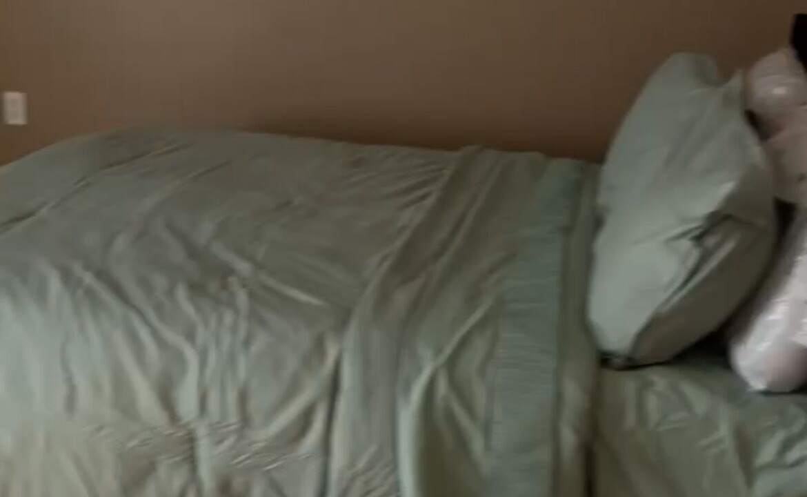 Photo of Bedroom in Spring Hill