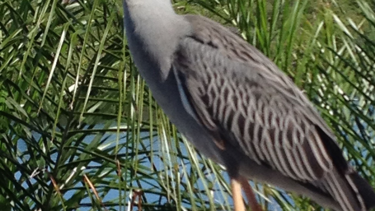 Photo of Others in Signal Cove