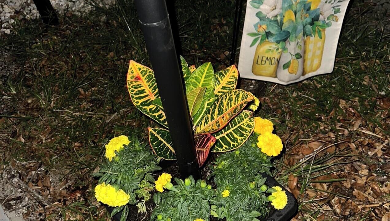 Photo of Outdoor in Ridge Wood Heights