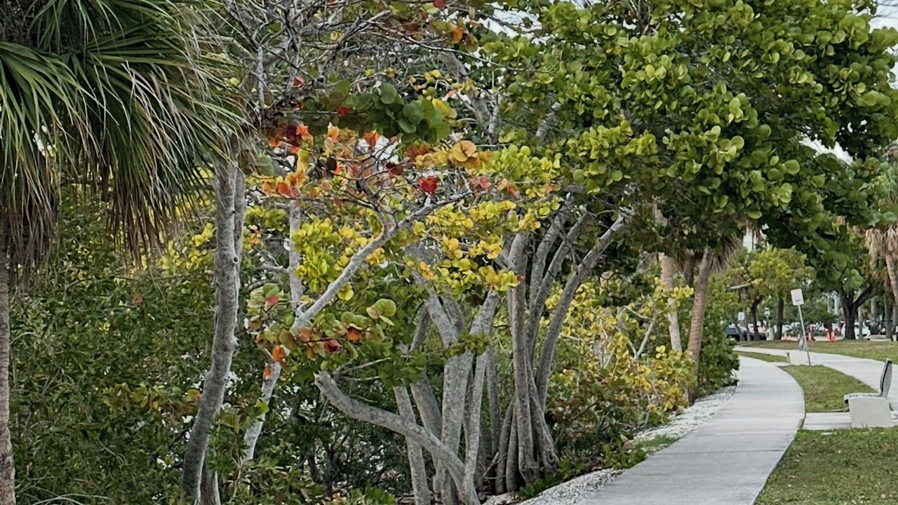 Photo of Others in Ridge Wood Heights