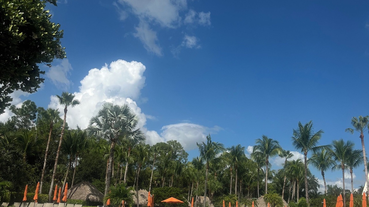 Photo of Outdoor in Ole
