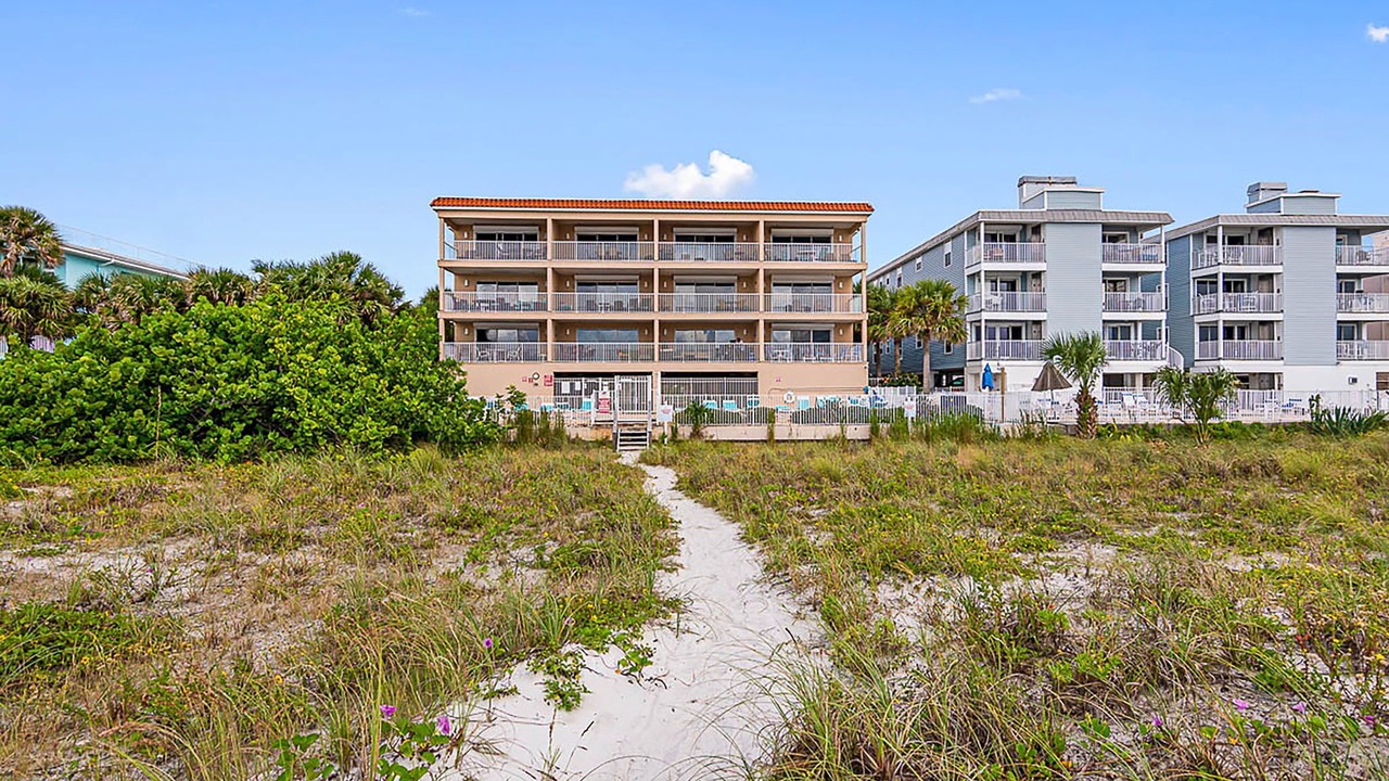 Photo of Others in Indian Rocks Beach