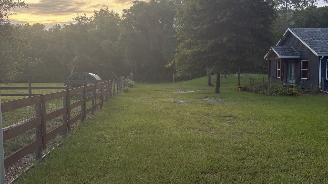 Photo of Outdoor in Hernando