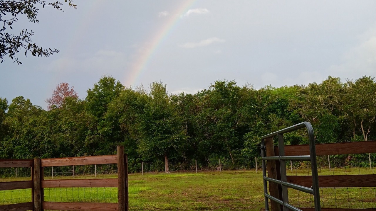 Photo of Others in Hernando