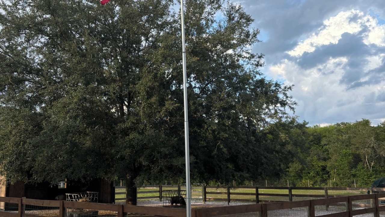 Photo of Others in Hernando