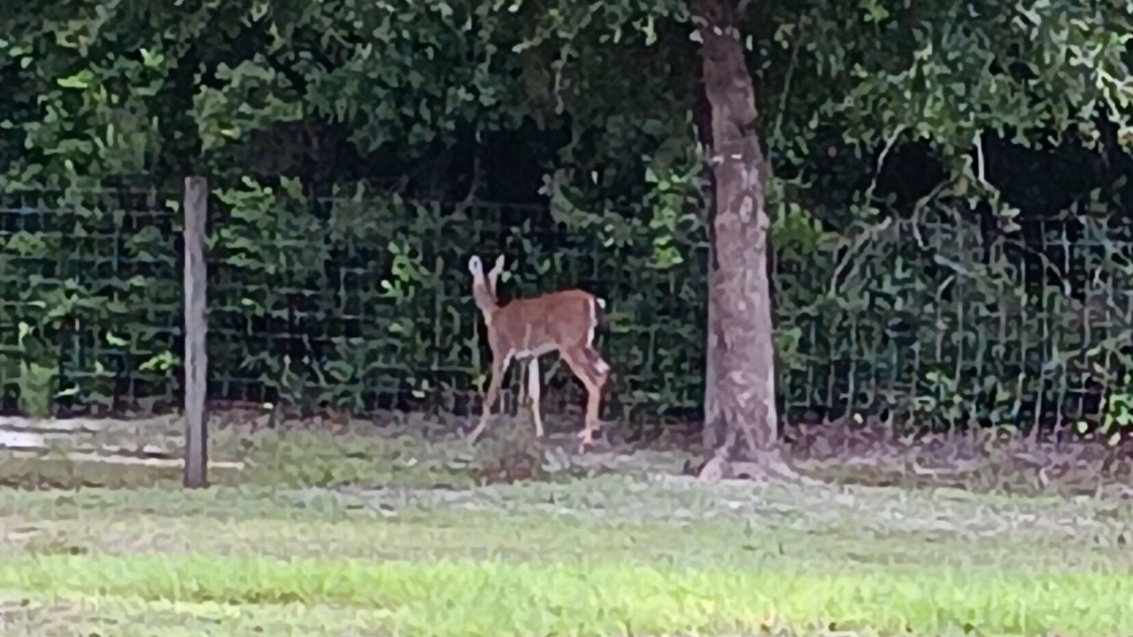 Photo of Others in Hernando