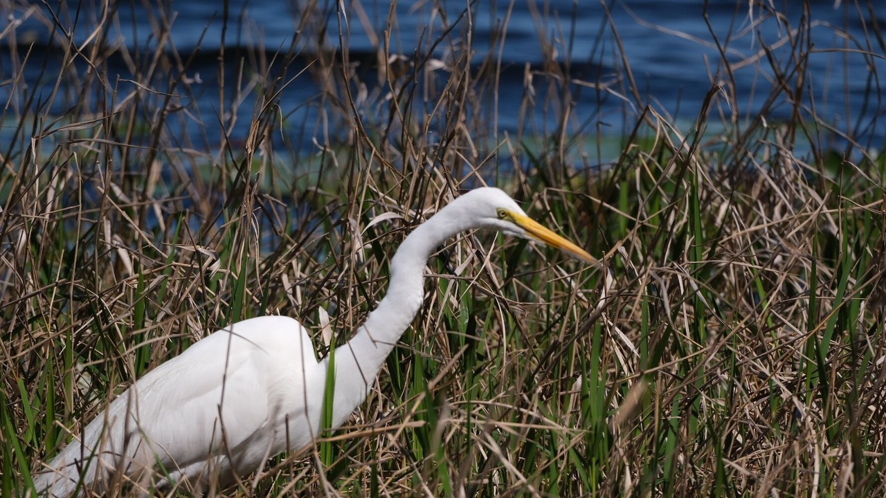 Photo of Others in Hernando