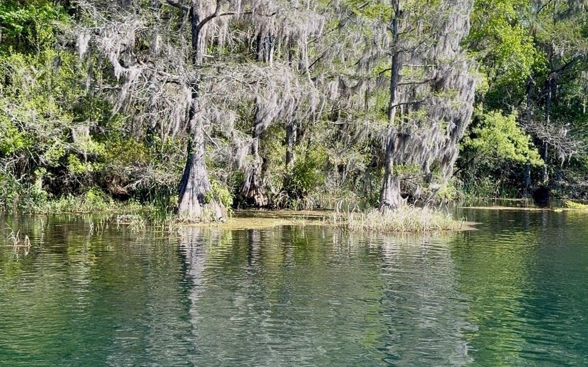 Photo of Others in Hernando