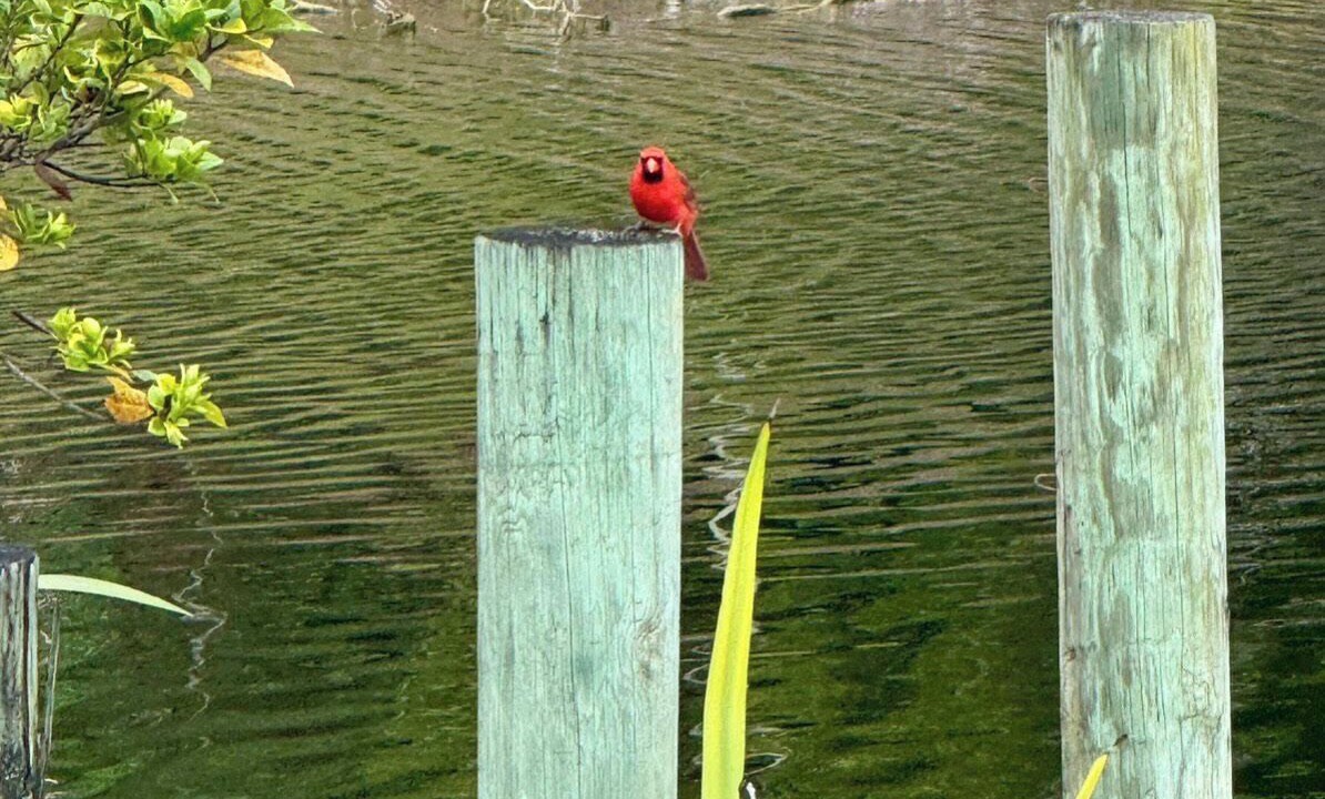 Photo of Others in Jupiter