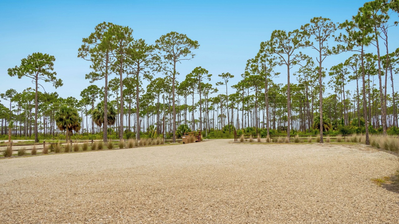 Photo of Others in Port St. Joe