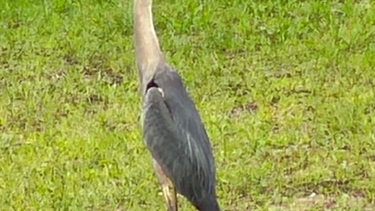 Photo of Others in Glenwood