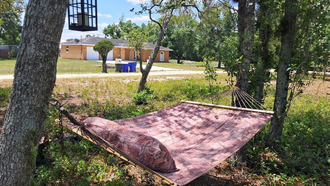 Photo of Outdoor in Florida South Atlantic Coast
