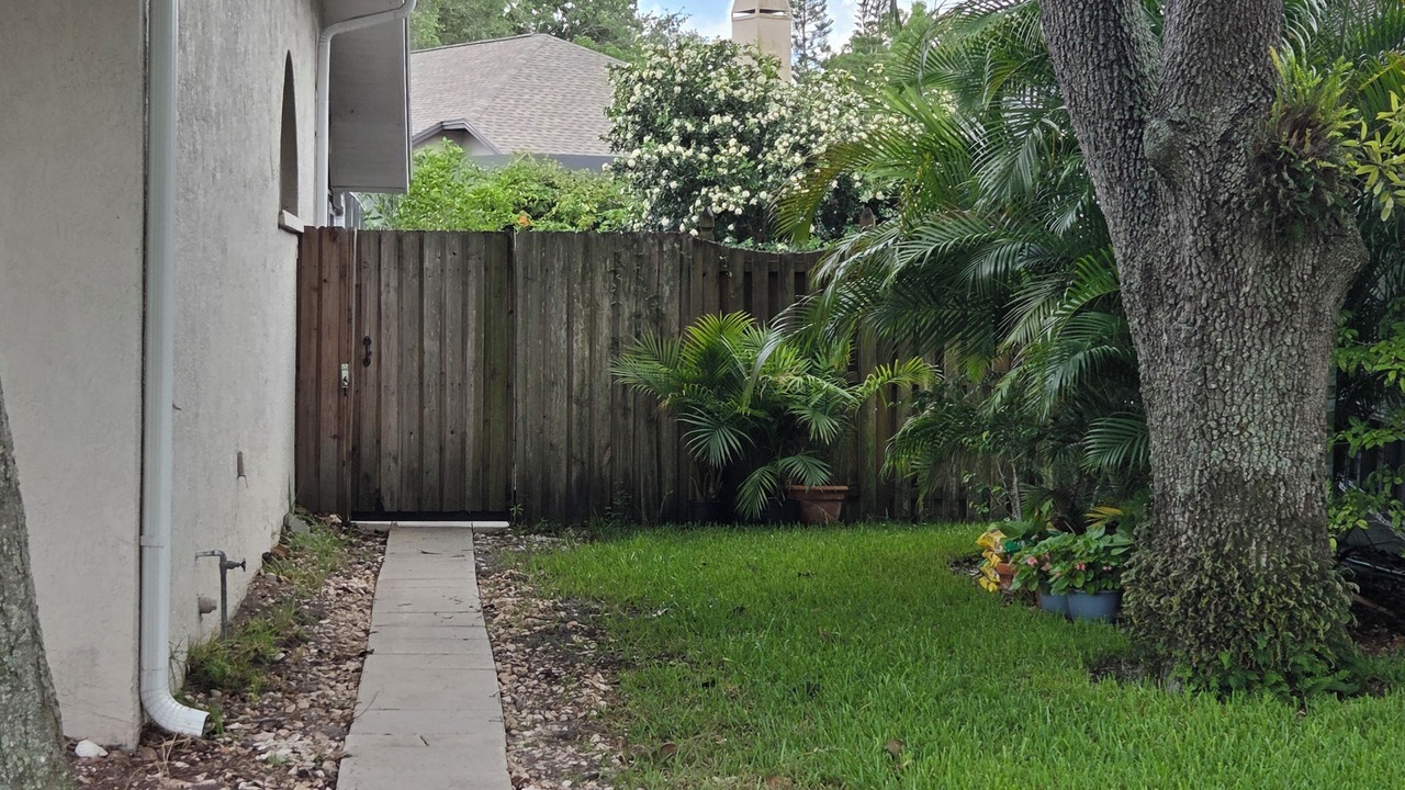 Photo of Outdoor in Citrus Park