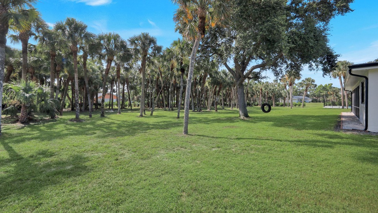 Photo of Outdoor in Central Naples