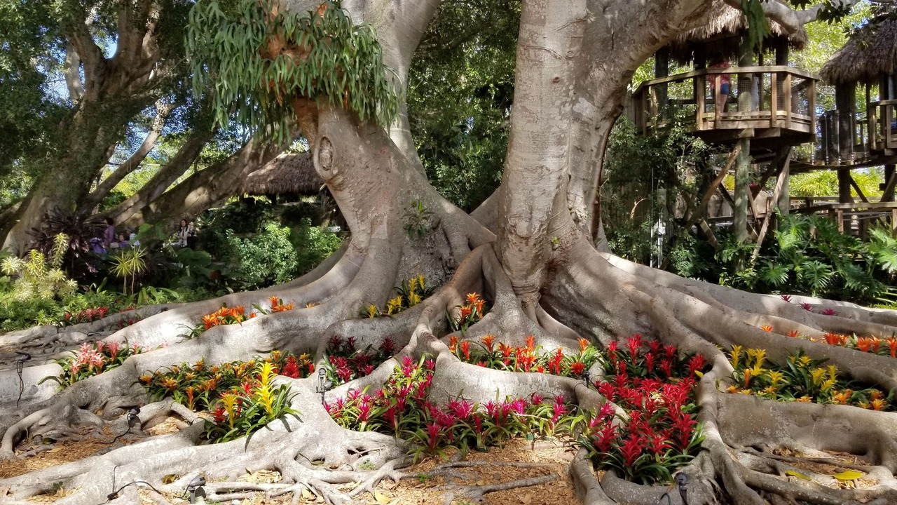 Photo of Outdoor in Bayou Oaks