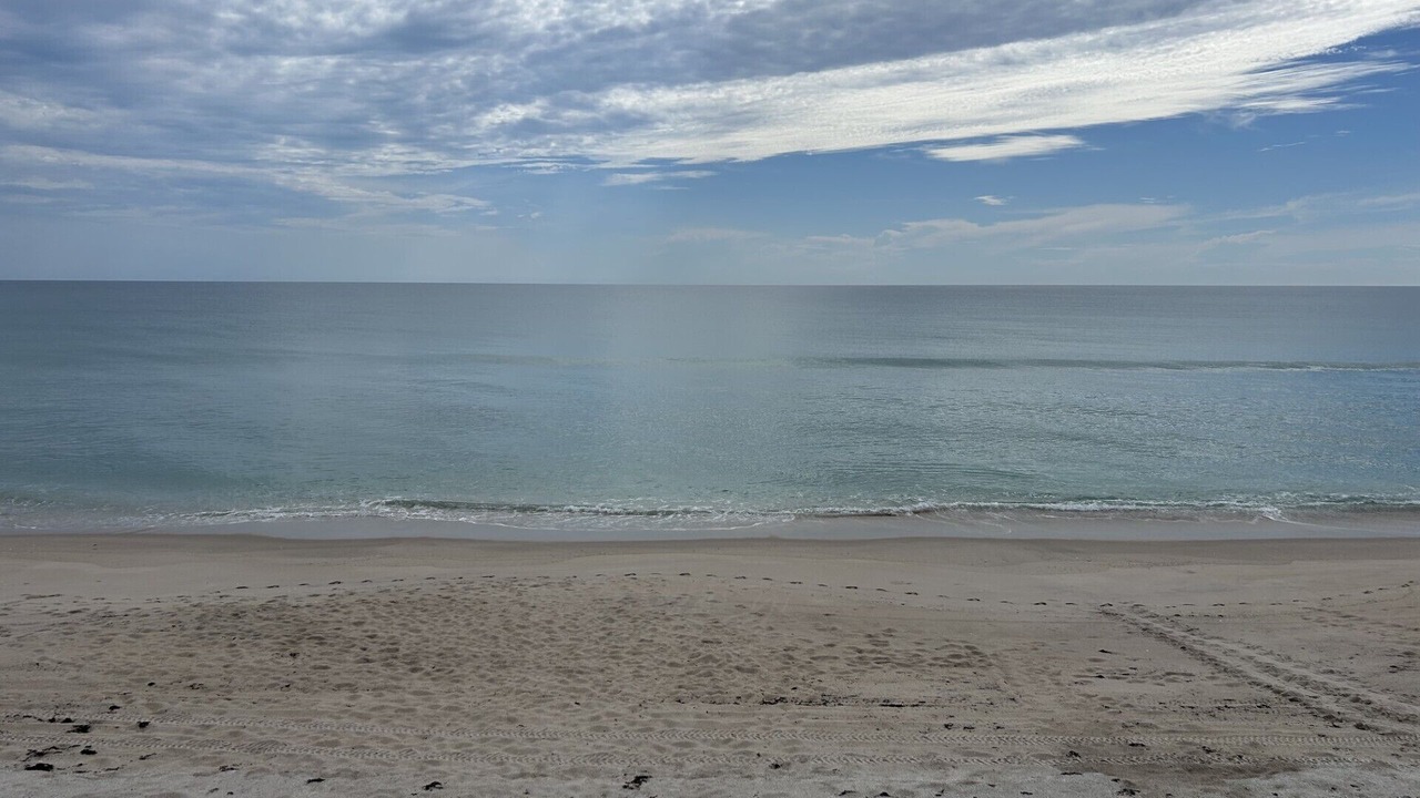 Photo of Others in Melbourne Beach