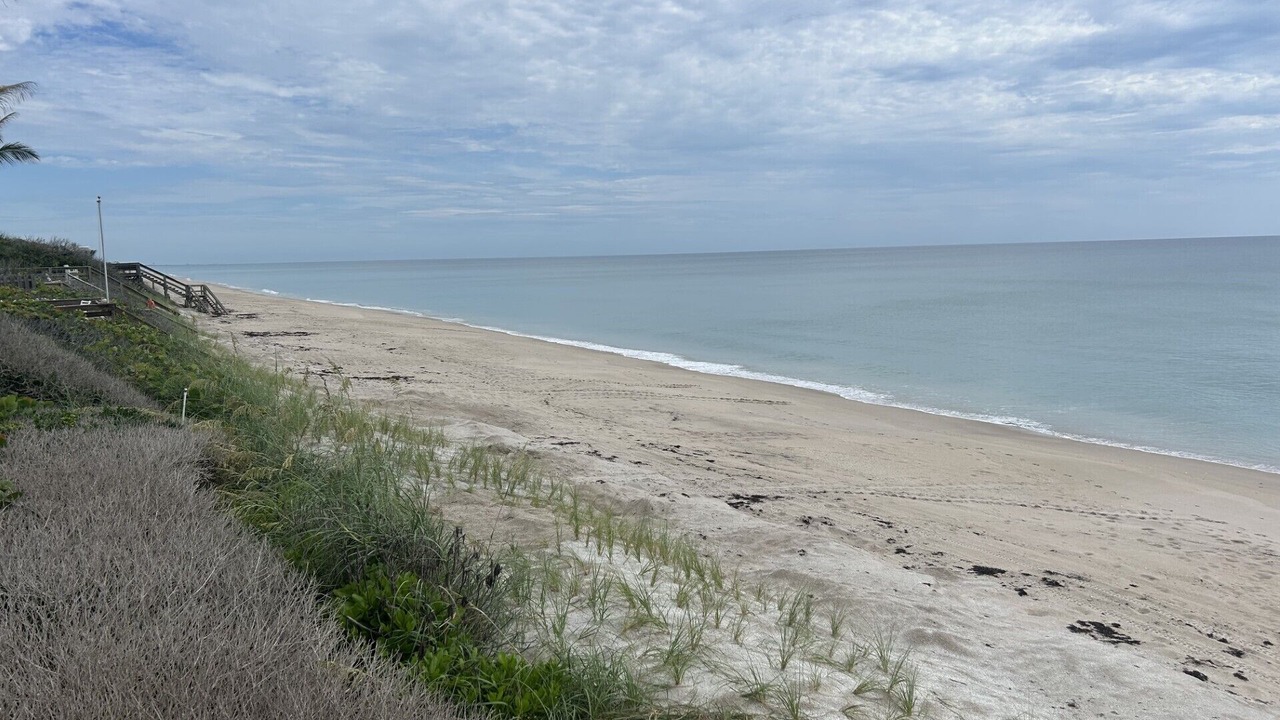 Photo of Others in Melbourne Beach