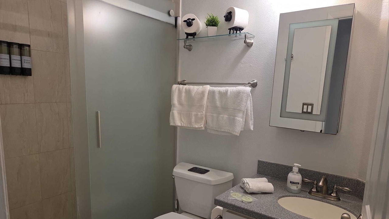 Photo of Bathroom in Desoto Acres